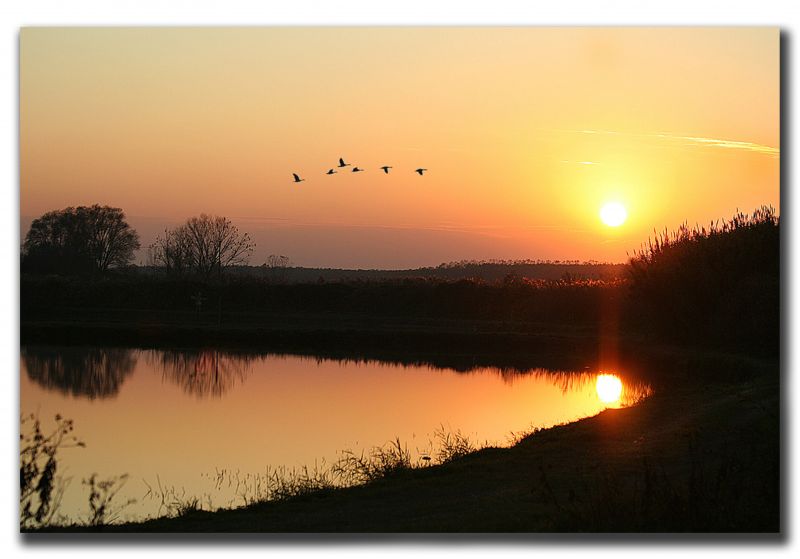 svítání, západ slunce, nebe, uklidnit, odraz, slunce
