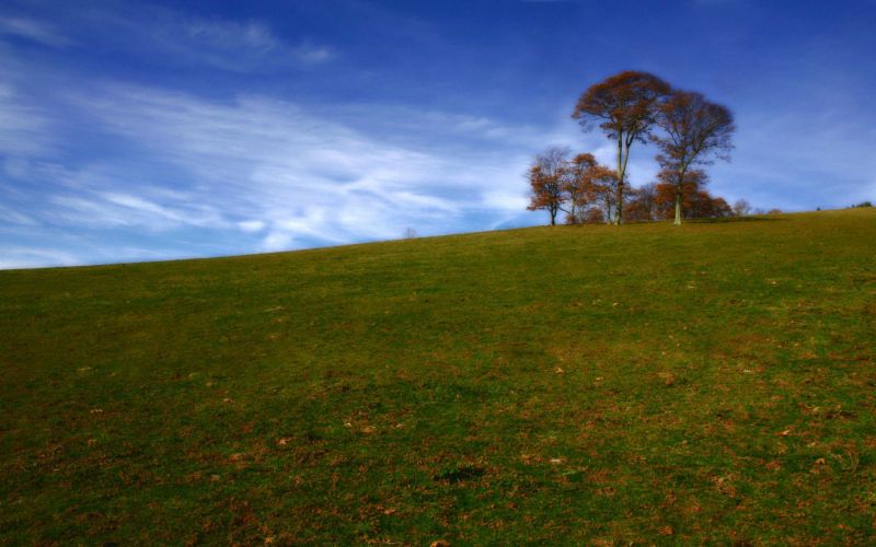 sunlight, landscape, hill, nature, grass, sky sunlight, landscape, hill, nature, grass, sky