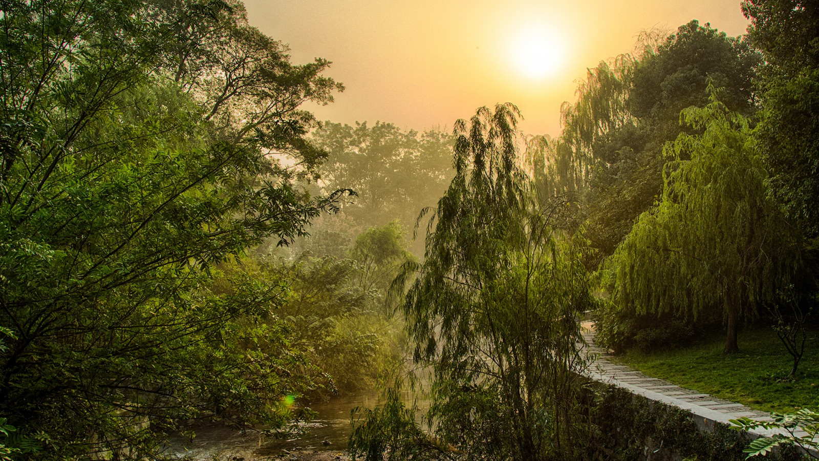 slunečnímu záření, krajina, les, Čína, Příroda, odraz, tráva, větev, zelená, ráno, mlha, řeka, divočina, džungle, deštný prales, Hangzhou, západní jezero, strom, podzim, list, květ, rostlina, sezóna, zálesí, venkov, místo výskytu, přírodní prostředí, atmosférický jev, dřevina, ekosystém