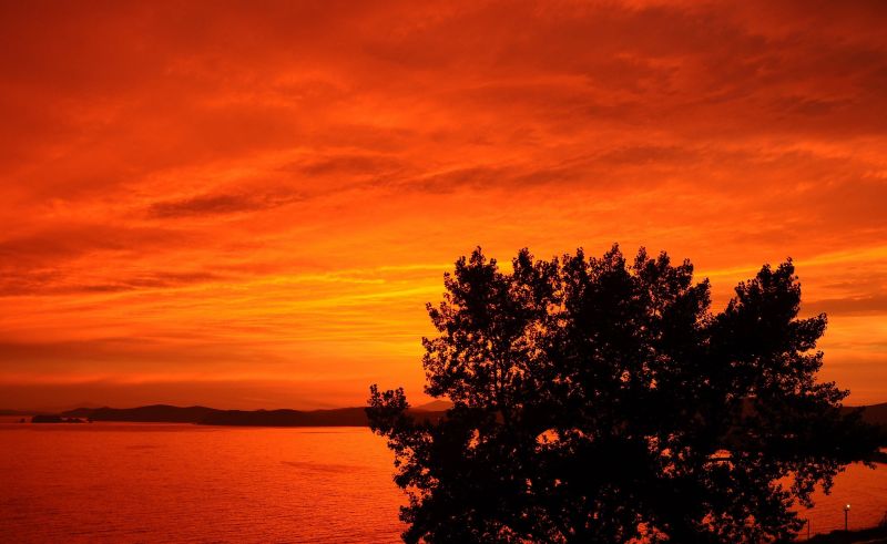 trees, landscape, sunset, nature, sky, photography trees, landscape, sunset, nature, sky, photography