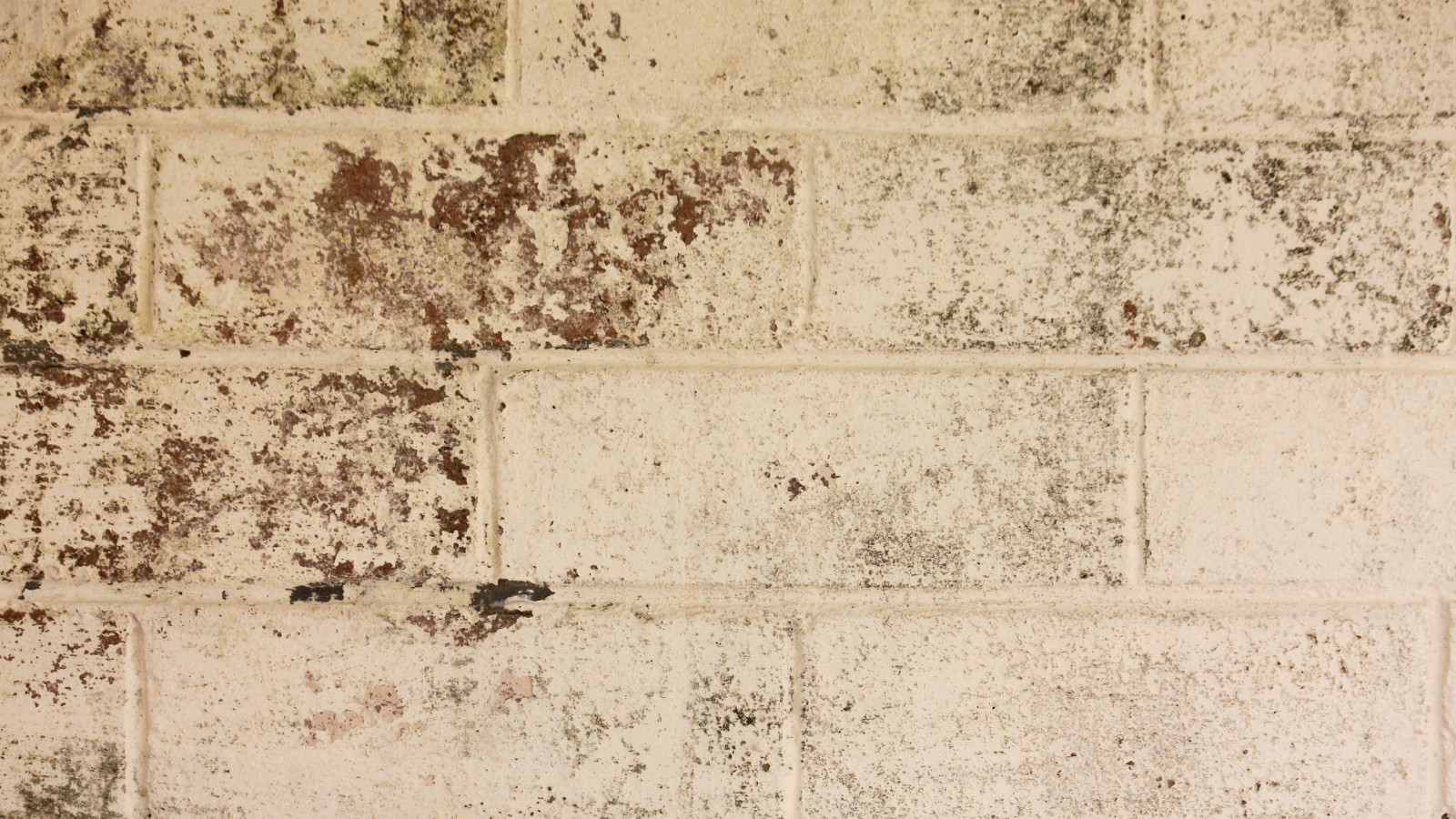 stěna, cihly, vzor, textura, omítka, dlaždice, Cihlový, materiál, patro, podlaha, dno, půda, dávná historie, podlaha, zdivo, kamenná zeď