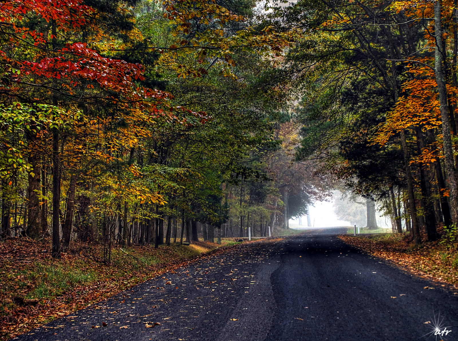 parco, rovinare, Petersburg, nazionale, va, tra, Campo di battaglia