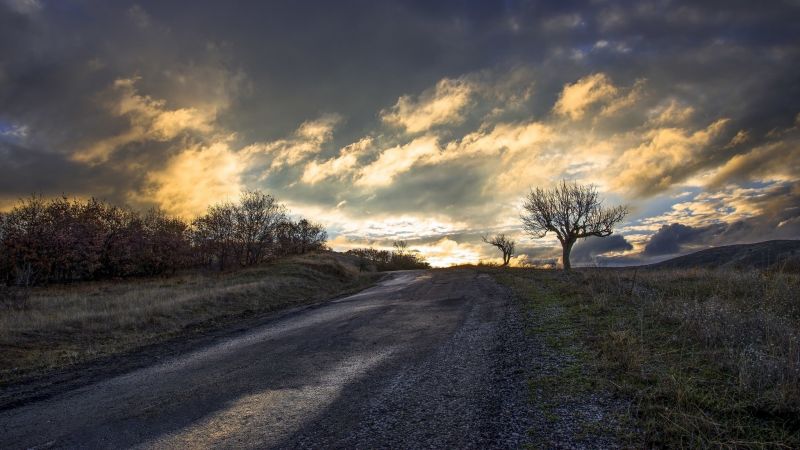 sunlight, trees, landscape, sunset, nature, hill sunlight, trees, landscape, sunset, nature, hill