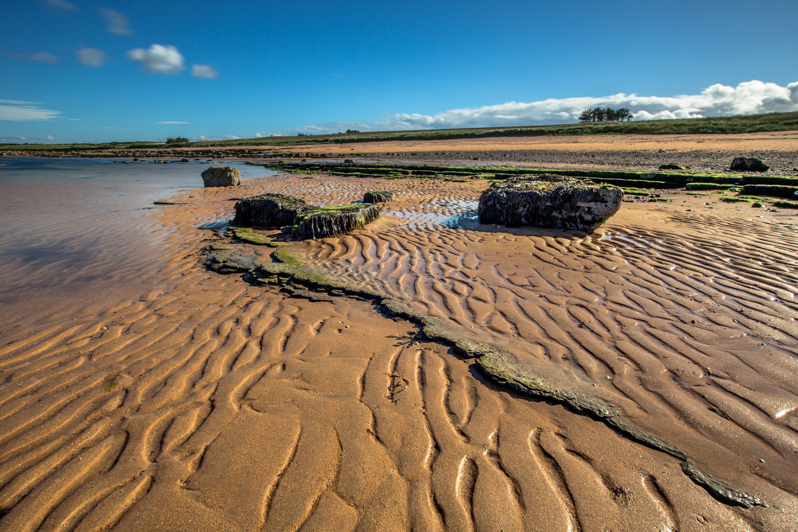 krajina, moře, voda, pobřeží, písek, pole, mraky, pláž, Skotsko, pobřeží, Kánon, skály, plošina, vlnky, nábřeží, longexposure, nd, modrá obloha, materiál, sigma, prostý, půda, pikola, fifecoastalpath, 1735, fifecoast, grantmorris, grantmorrisphotography, Kingsbarns, geologie, místo výskytu, přírodní prostředí, landform, ekosystém, badlands, Liparské landform, mělčina při ústí řeky