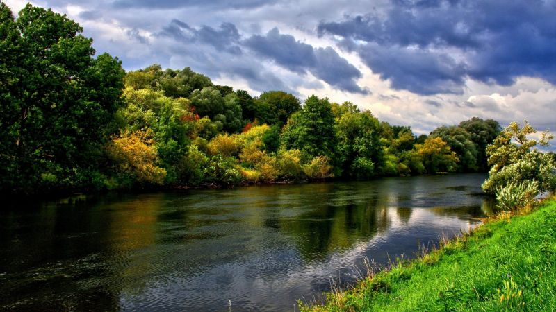 stromy, krajina, jezero, voda, slunečnímu záření, les stromy, krajina, jezero, voda, slunečnímu záření, les