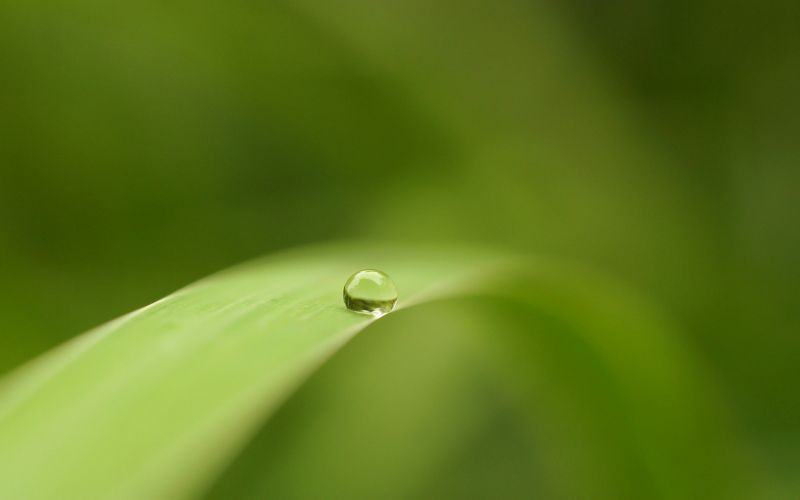 Ánh sáng mặt trời, Nước, thiên nhiên, cỏ, nhiếp ảnh, Nền đơn giản Ánh sáng mặt trời, Nước, thiên nhiên, cỏ, nhiếp ảnh, Nền đơn giản