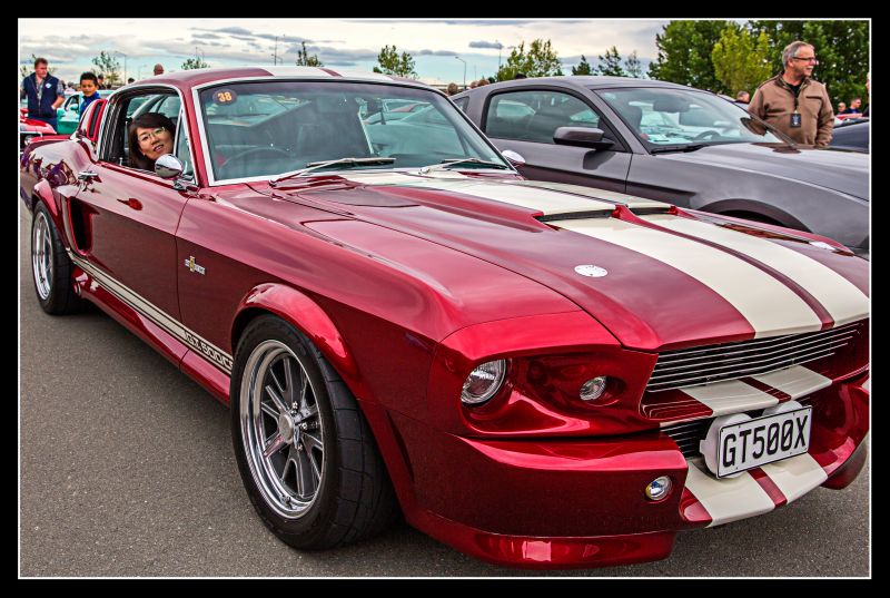Mustang, canon6d, canon2470mmmk2 Mustang, canon6d, canon2470mmmk2