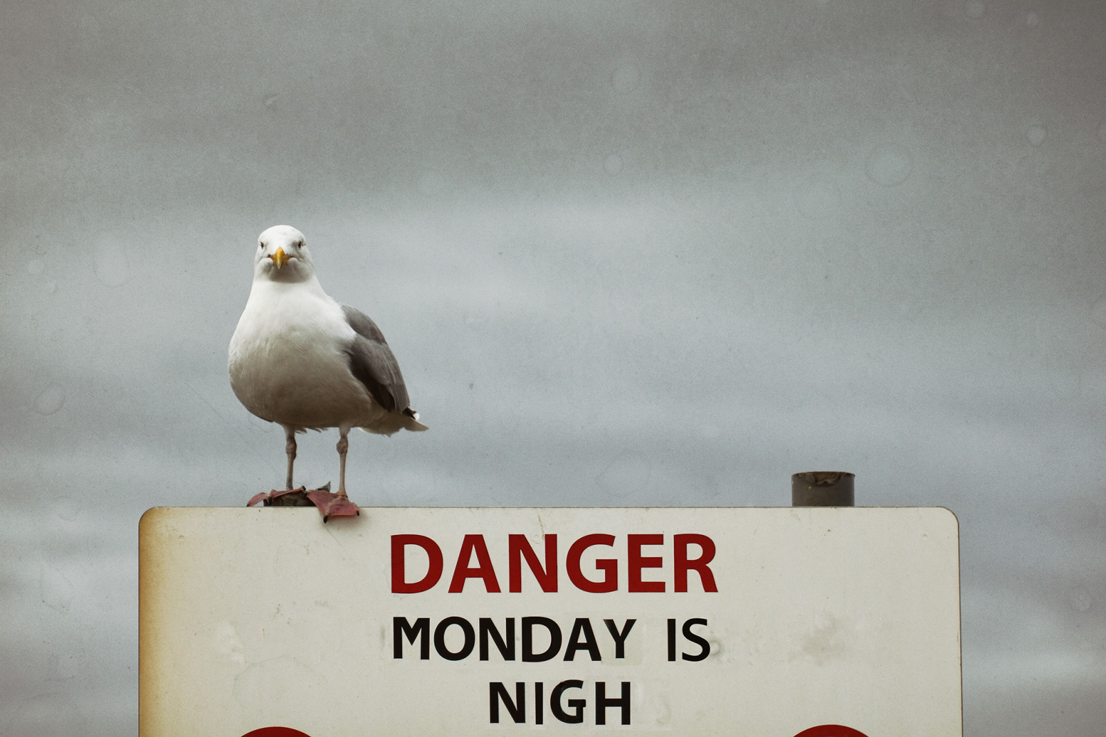 sea_texture_beach_sign_danger_writing_warning_outside-794515.jpg!d