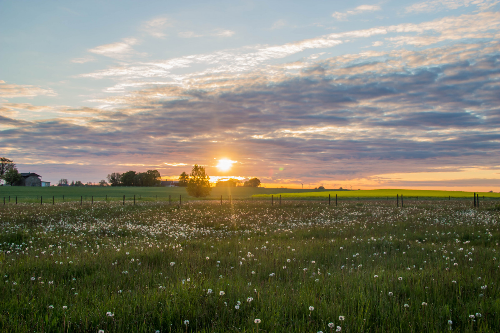 slunečnímu záření, krajina, západ slunce, moře, kopec, Příroda, odraz, tráva, nebe, pole, mraky, svítání, večer, ráno, slunce, horizont, soumrak, slunce, mokřadní, mrak, květ, svítání, lučina, nebe, venkov, moln, landsbygd, soluppg ng, f lt, landskap, gryning, Kamera aby kánon, geolocation, EXIF čočka efs18200mmf3556is, exif aby kánon, EXIF isospeed 100, exif focallength 28mm, EXIF otvor 63, Model fotoaparátu canoneos100d, exif modelu canoneos100d, zemědělství, louka, prostý, prérie, bažina, venkov, místo výskytu, přírodní prostředí, atmosférický jev, tráva rodina