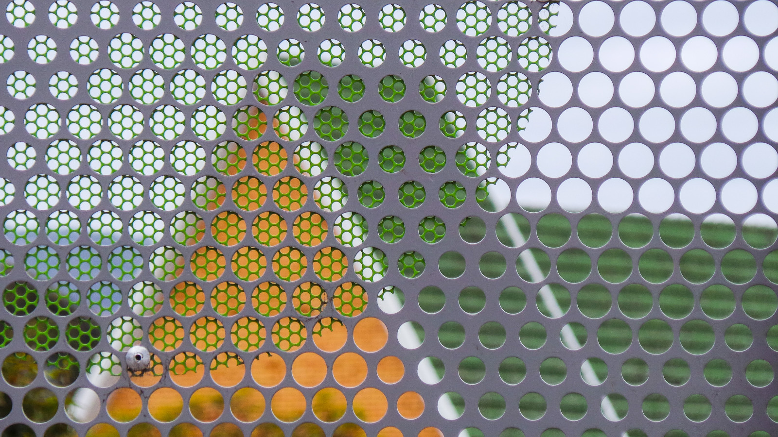 vzor, materiál, pletivo, strom, symetrie