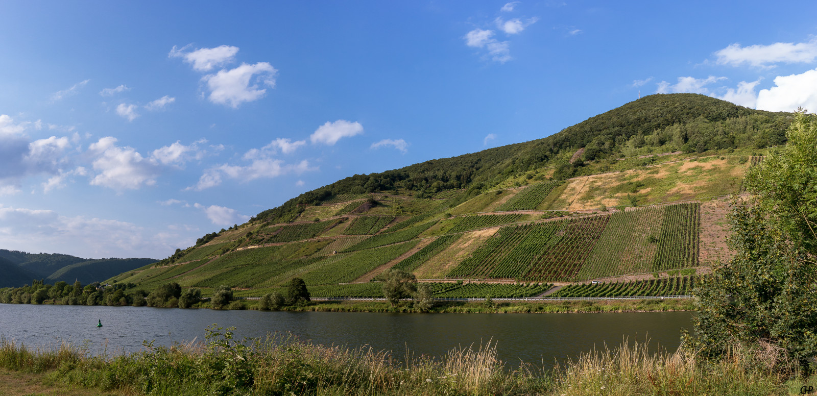 Wallpaper : weinberg, mosel, fluss, wine, wein, panorama 3000x1455