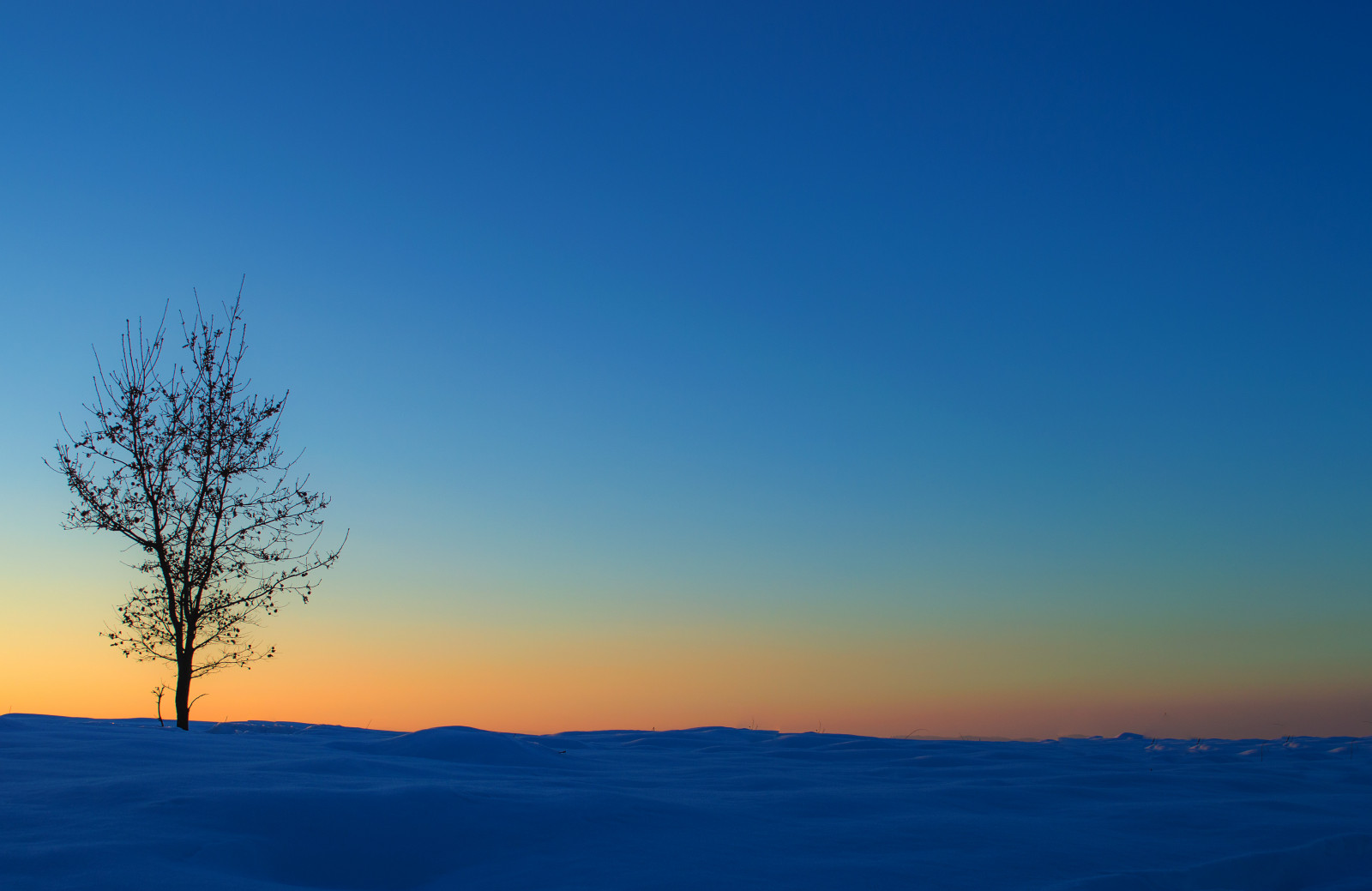 zima, západ slunce, divoký, nebe, slunečnímu záření, sníh, strom, Příroda, oblohy, krajina, večer, Nikon, Tramonto, zasněžený, badatel, natura, cielo, neve, průzkum, albero, inverno, paesaggio, zasněžené, Snowytrees, beautifulsky, nikond3200, Salsomaggiore, prozkoumal, D3200, naturaincontaminata, Salsomaggioreterme