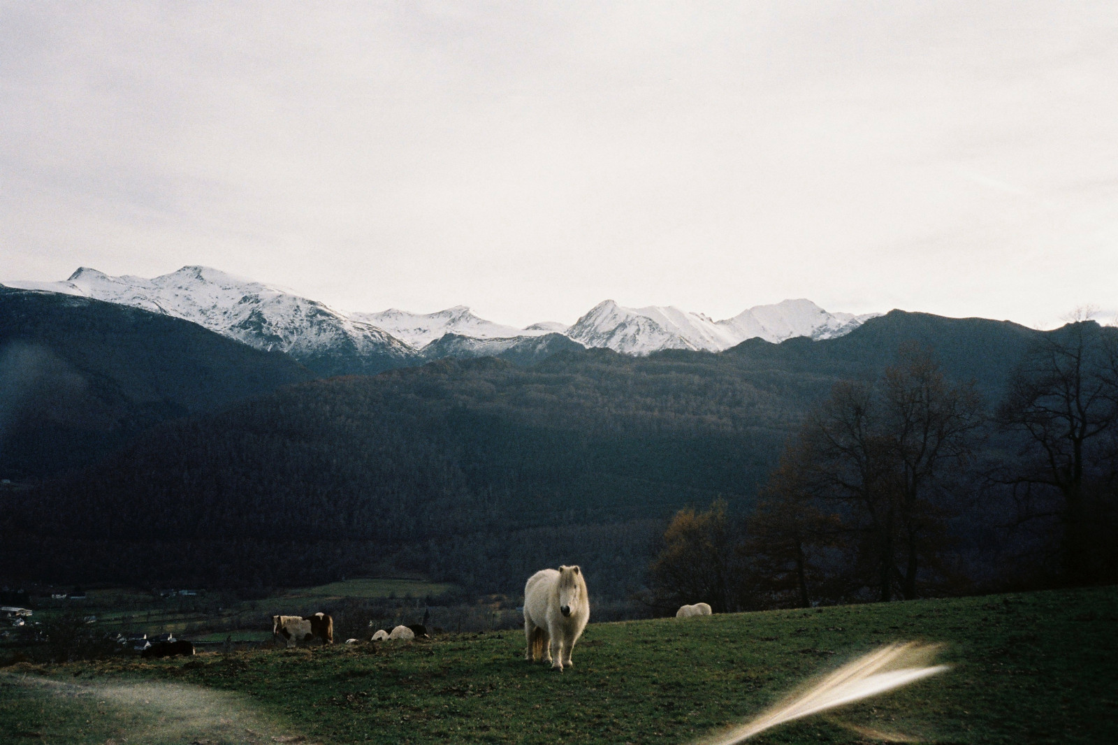 vysočina, horských reliéf, hora, nebe, divočina, pohoří, pastvina, lučina, kopec, strom, zima, mrak, venkov, klesl, ráno, sníh, stanice hill, tráva, Alpy, národní park, mount scenérie, krajina, slunečnímu záření, louka, pole, plošina, tundra, ekoregion, ranč, meteorologický jev