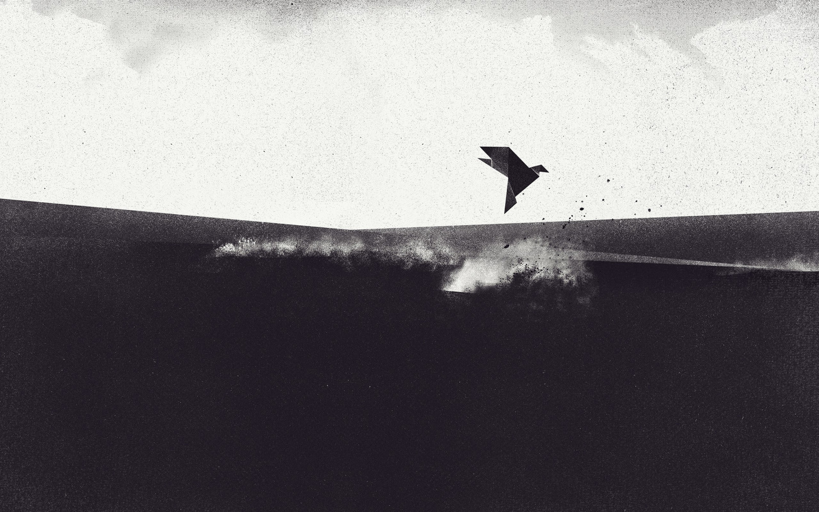 Weiß, schwarz, Vögel, einfarbig, Schatten, Kunstwerk, laut, Vogel, gestalten, Flügel, Surfbrett, 2560x1600 px, Schwarz und weiß, Monochrome fotografie, Hockende vogel, Surfen Ausrüstung und Zubehör