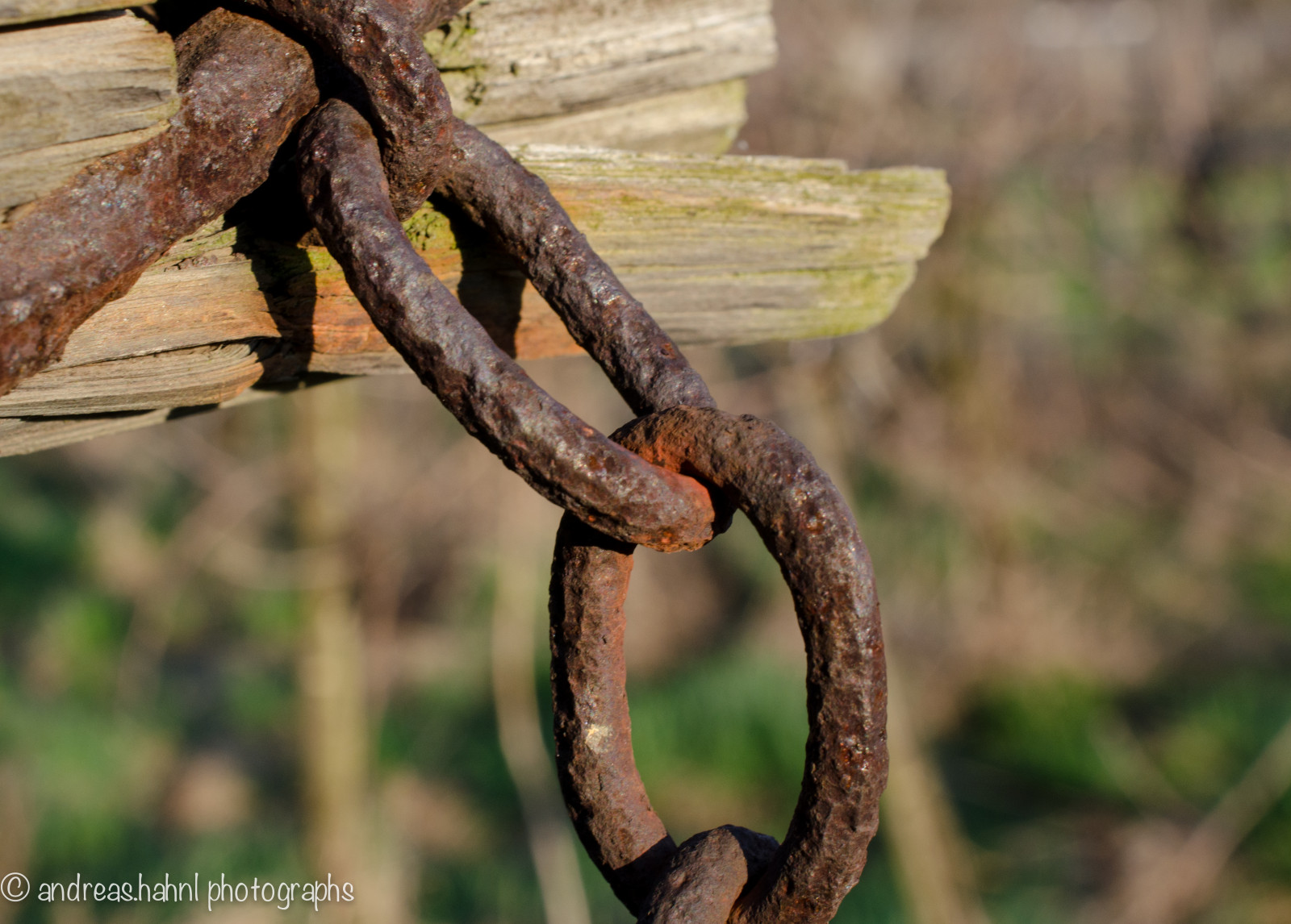 makro, Rakousko, Řetězy, vinice, Nikon, rezavý, rost, Kette, Weingarten, Dřevo