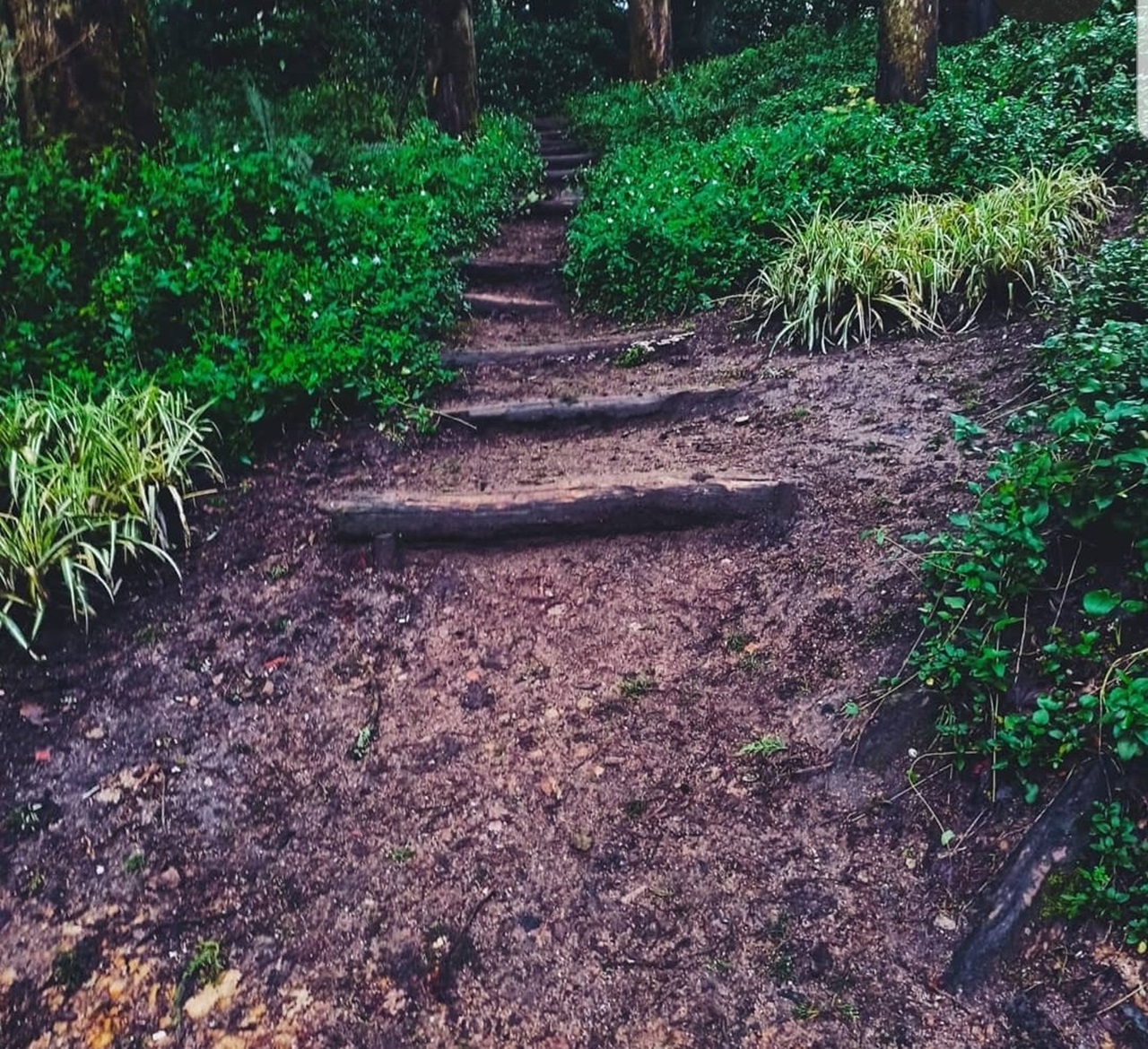 Wallpaper ushuaia, New York City, Lisbon 1280x1170 JohnTeetor