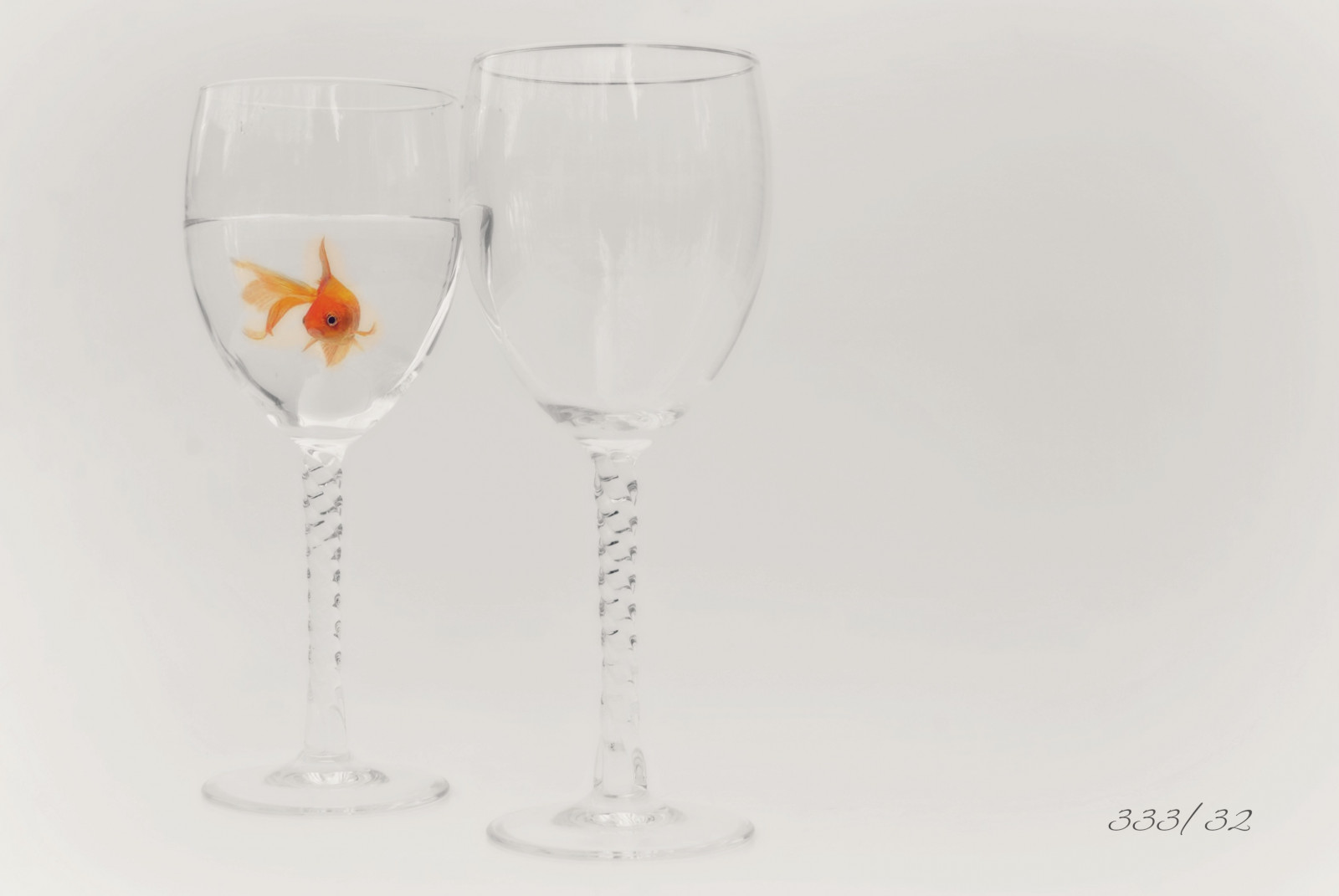 Wallpaper : fish, glasses, wine, odc 3147x2108 - - 1092271 - HD