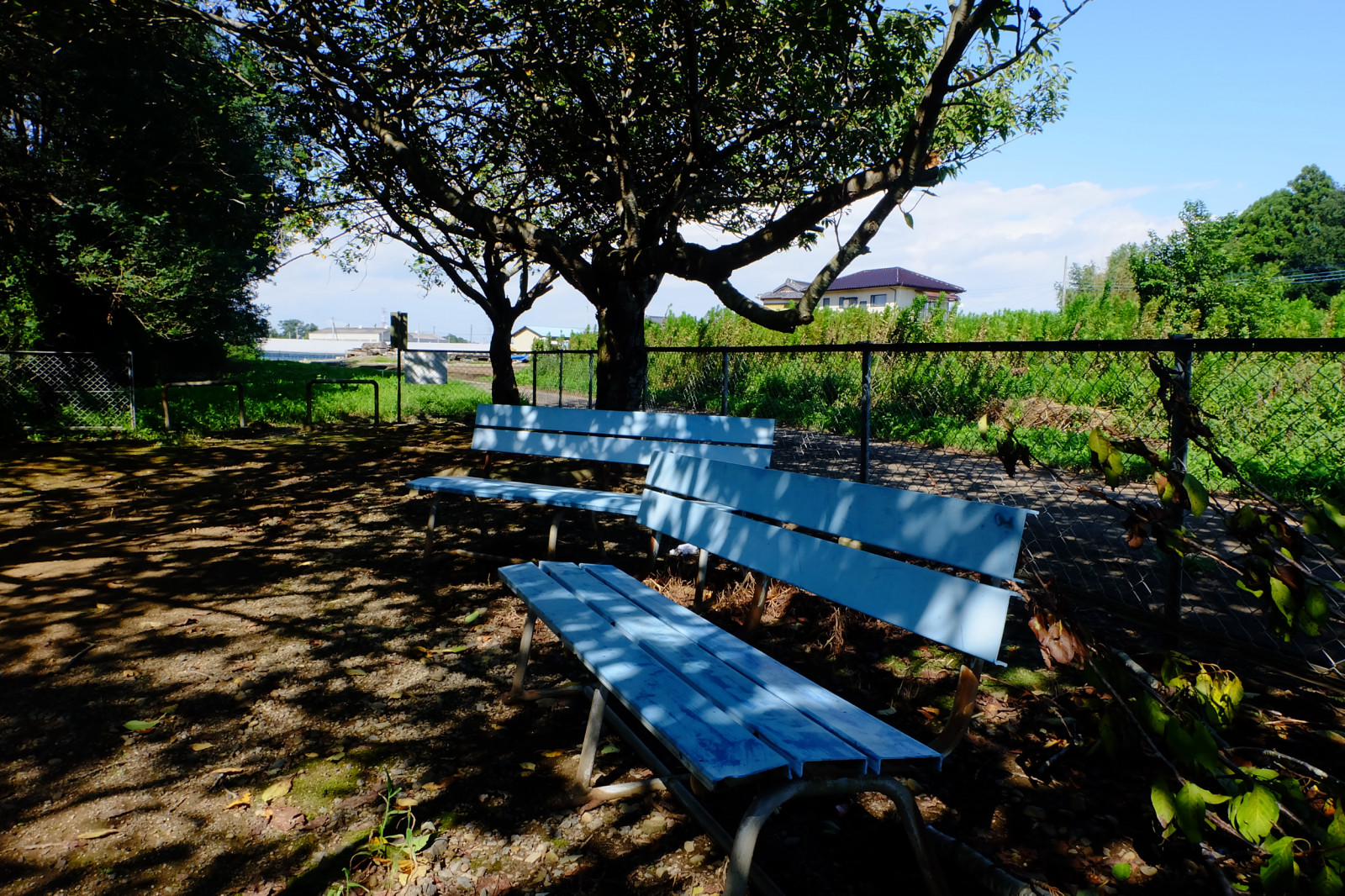 Landschaft, Straße, Wasser, Natur, Betrachtung, Gras, Himmel, Schatten, Morgen, Bank, Wind, Teich, Bank, Naturschutzgebiet, Feuchtgebiet, Licht, Baum, gehen, Pflanze, Freizeit, Wasserlauf, Außenstruktur, Wasservorräte
