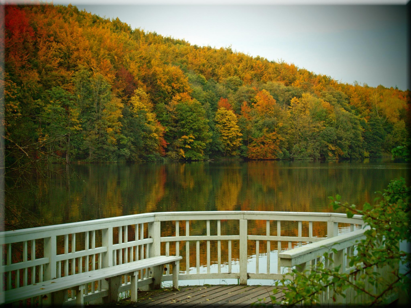 Wallpaper trees, landscape, lake, water, nature, reflection, grass