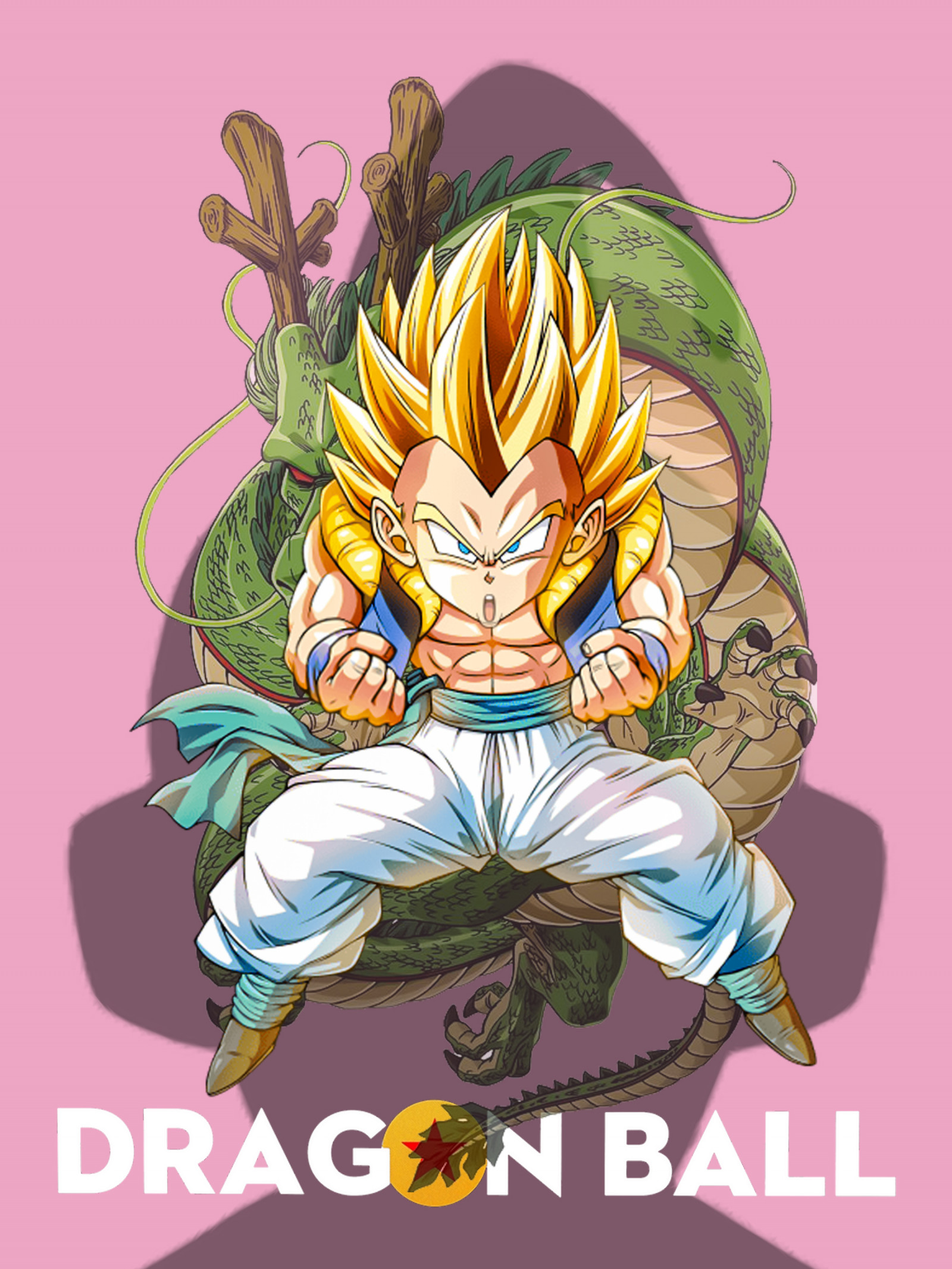 【STAYL FREE】キャンパスアート　ドラゴンボール　supreme supremeとドラゴンボールアートポスターの通販 by 莉沙たん's