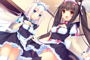 ショコラネコパラ デスクトップ壁紙 デスクトップ壁紙 Wallhere