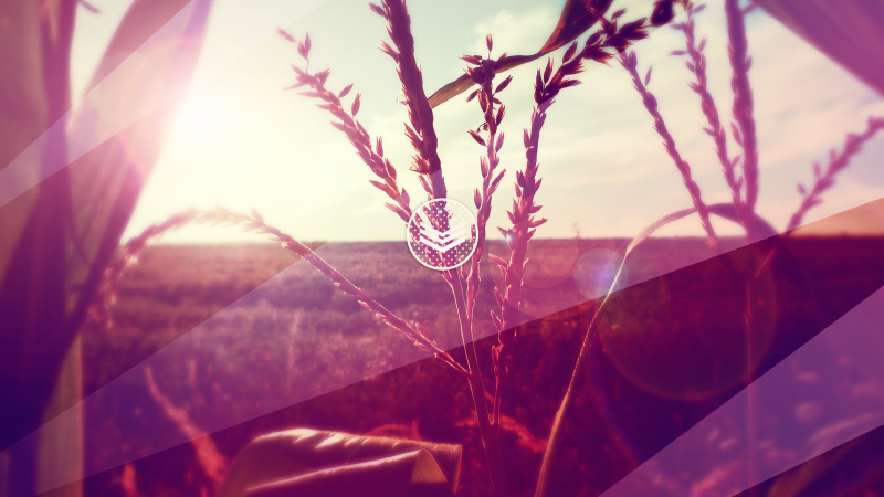 Photoshop, Příroda, slunečnímu záření, západ slunce, Červené, odraz