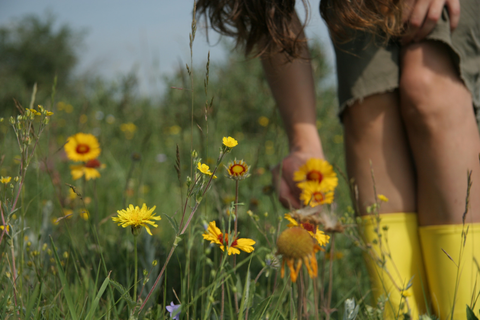 Wallpaper : skirt, wildflowers, 10cent, yellowboots, utata description
