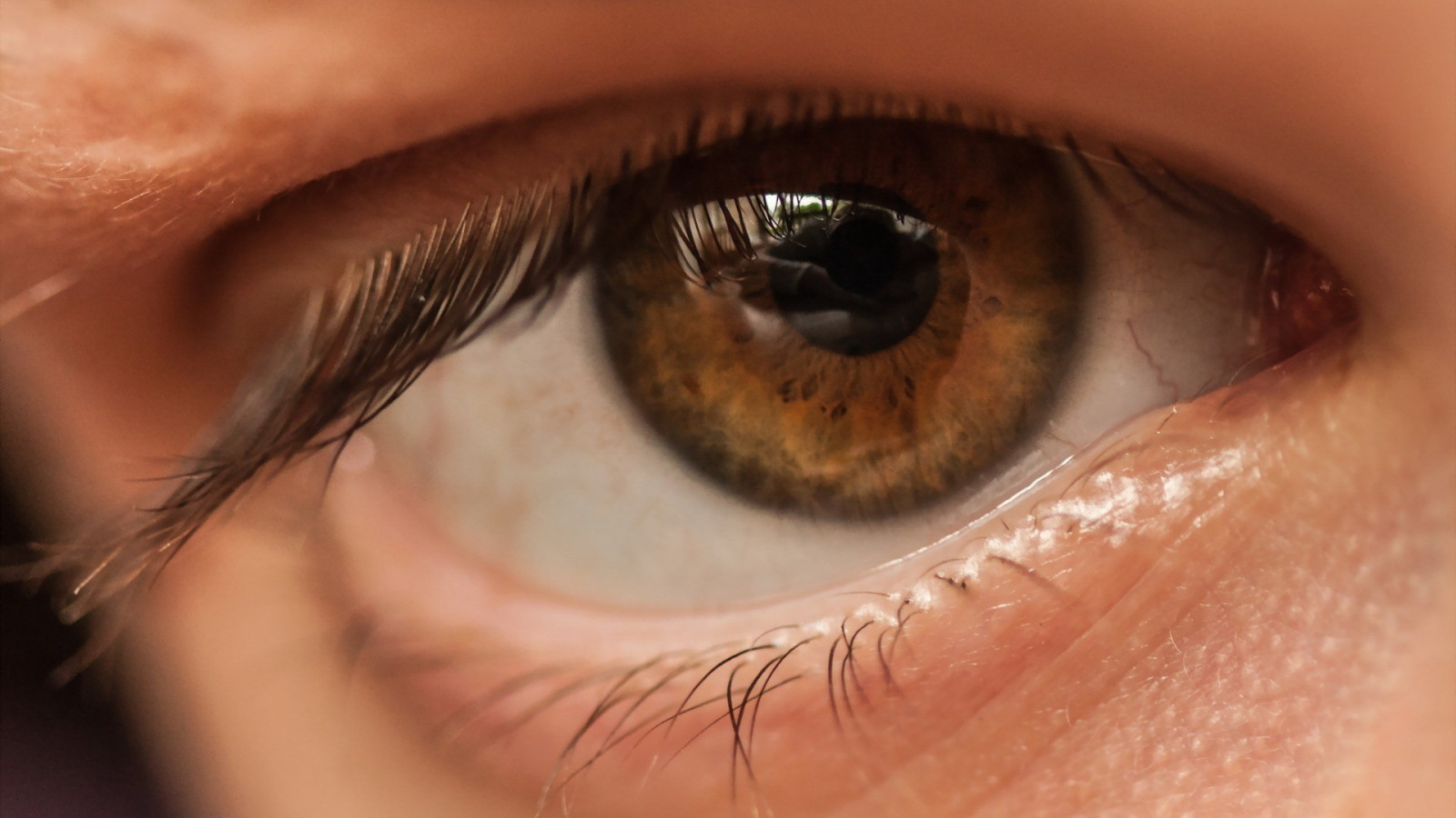 tvář, oči, brýle, fotografování, hnědý, pusa, nos, emoce, kůže, hlava, Duhovka, barva, krása, oko, ruka, ret, kosmetika, obočí, Lidské tělo, vision care, orgán, zblízka, makro fotografie, řasa, prodlužování řas