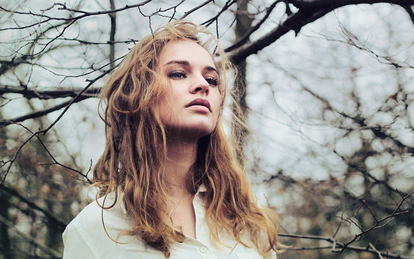 tvář, ženy venku, ženy, model, portrét, blondýnka, dlouhé vlasy, zima, fotografování, móda, vlasy, jaro, Osoba, strom, podzim, dívka, krása, sezóna, žena, fotografie, blond, účes, portrétní fotografie, focení, hnědé vlasy