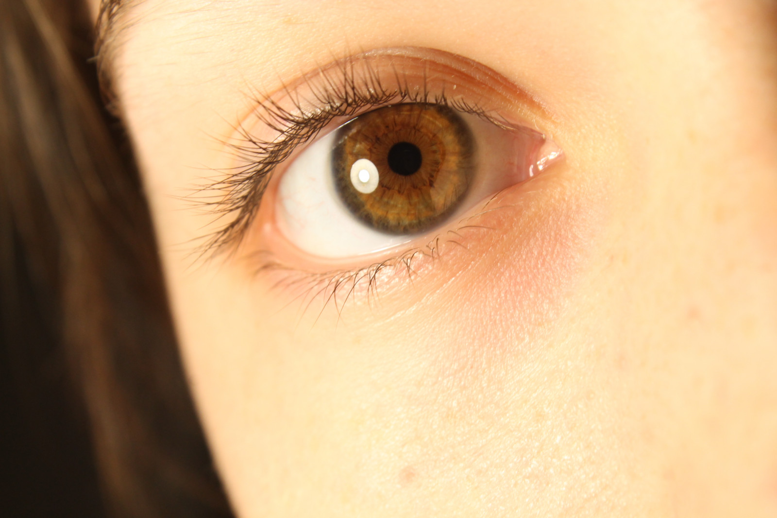 Wallpaper Iris, brown, macro, eyes, eyelashes, Vision, pupil