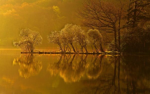 1920x1200 px, forests, haze, hills, autumn, fall
