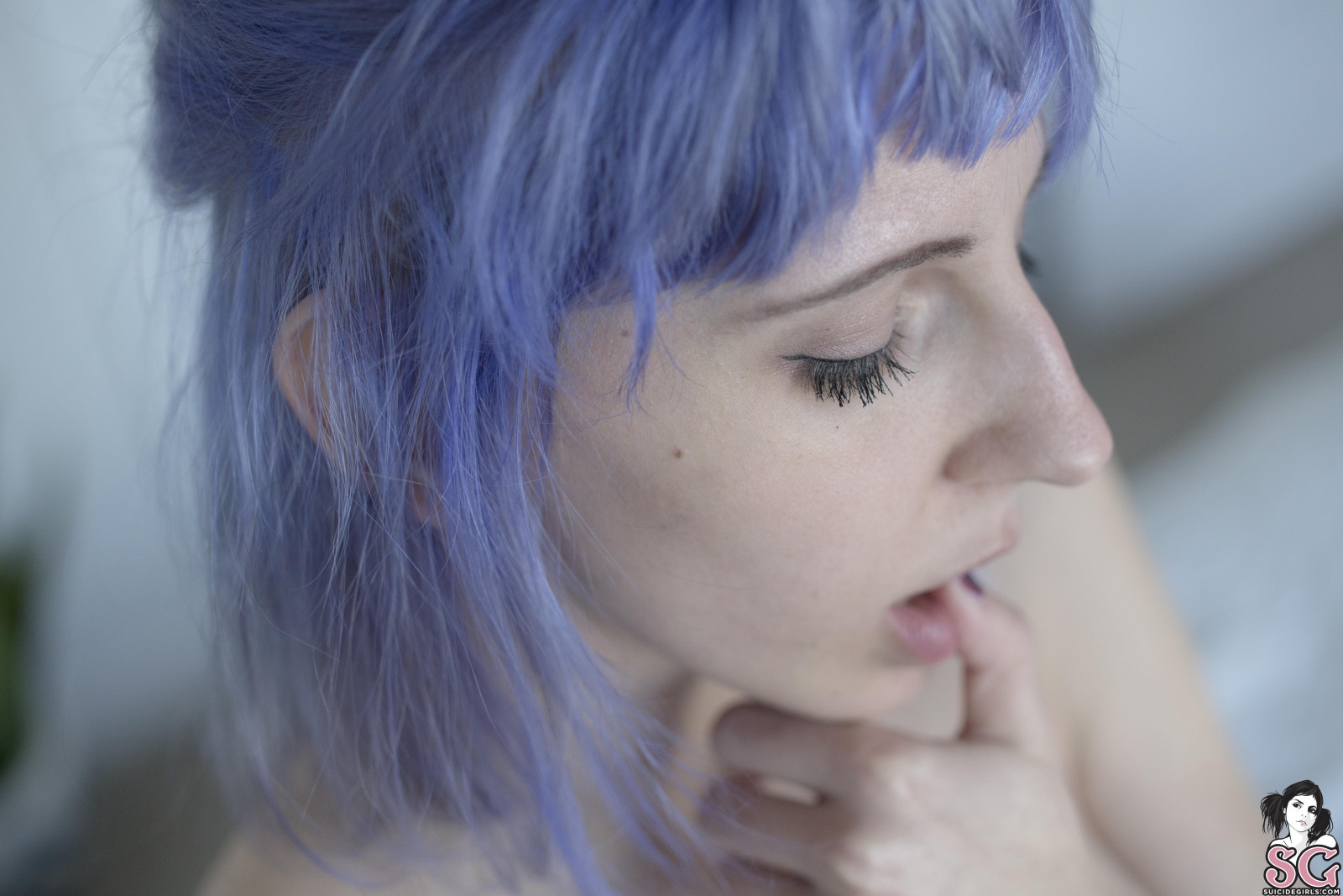 Tapety : Hopelesssofrantic Suicide, suicidegirls, model 7952x5304 - Skush - 1487393 - Tapety