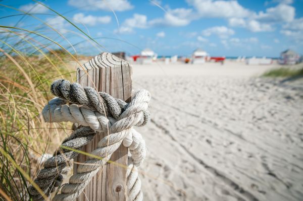 sand,knot,rope,cordage