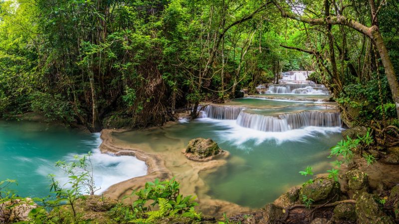 лес, водопад, воды, природа, Река, Дикая местность лес, водопад, воды, природа, Река, Дикая местность