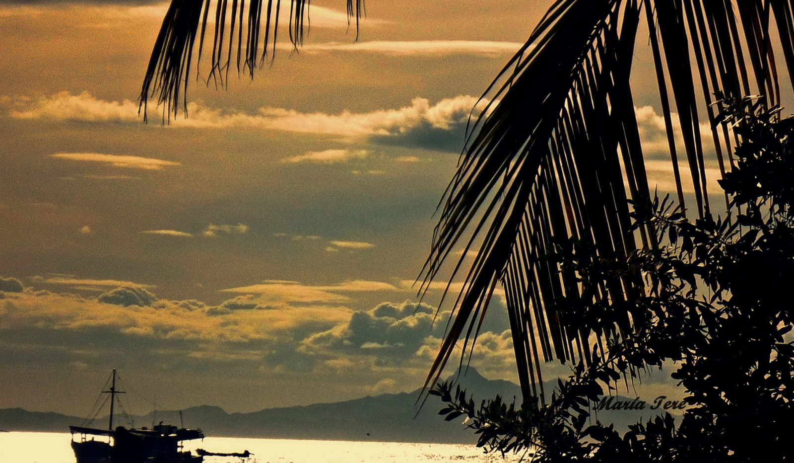 západ slunce, moře, voda, nebe, svítání, uklidnit, večer, horizont, Isla, Venezuela, margarita, strom, svítání, mraky, noche, de, NWN, arecales, palma, Nueva, anocheciendo, Esparta, Paya, Casi, stock photography