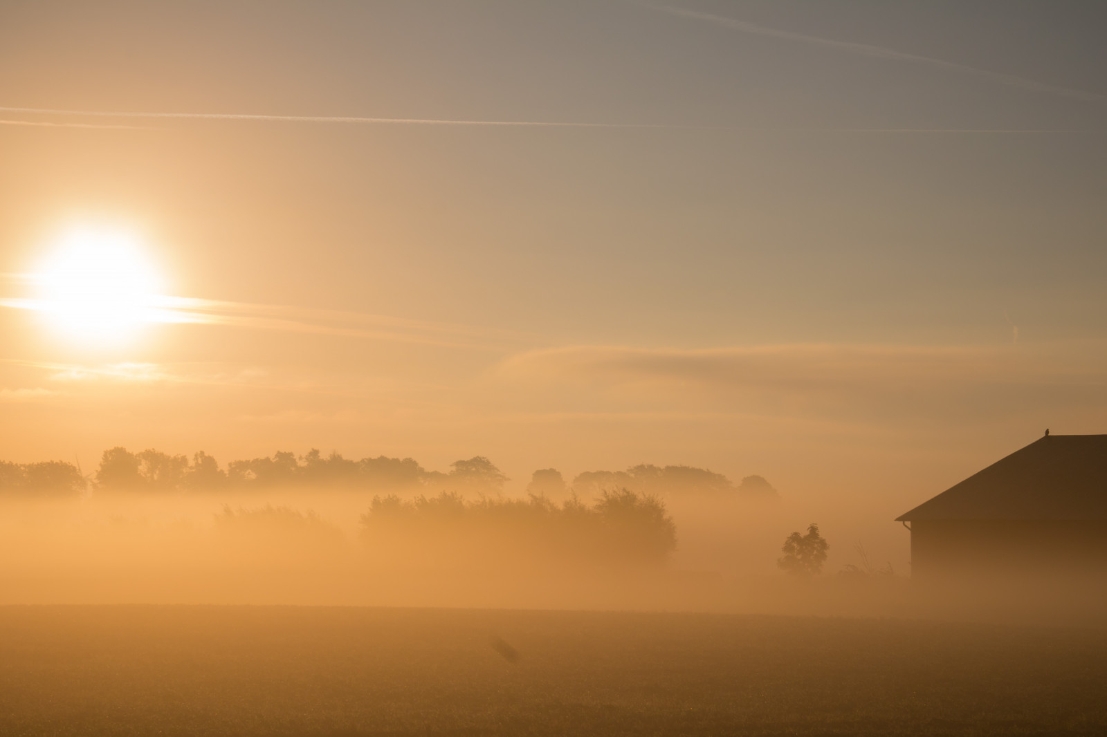 slunečnímu záření, krajina, západ slunce, svítání, LADA, večer, ráno, mlha, slunce, horizont, atmosféra, stodola, soumrak, opar, mlha, počasí, svítání, dimma, venkov, landsbygd, soluppg ng, s dersl tt, landskap, gryning, exif modelu canoneos760d, geocountry, Kamera aby kánon, geocity, Model fotoaparátu canoneos760d, geostate, geolocation, EXIF čočka efs18200mmf3556is, exif aby kánon, EXIF isospeed 100, EXIF otvor 14, exif focallength 50mm, morgon, prostý, atmosférický jev, odlesk
