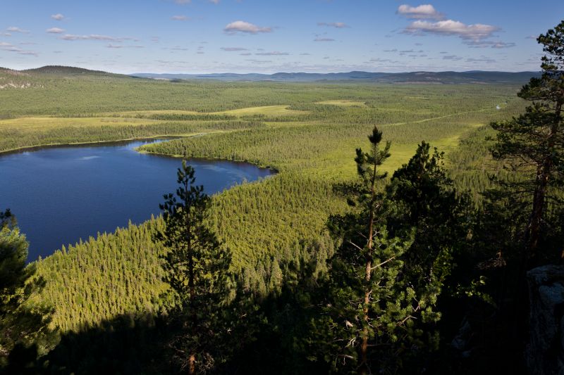 Příroda, divočina, přírodní rezervace, hora, nebe, vysočina
