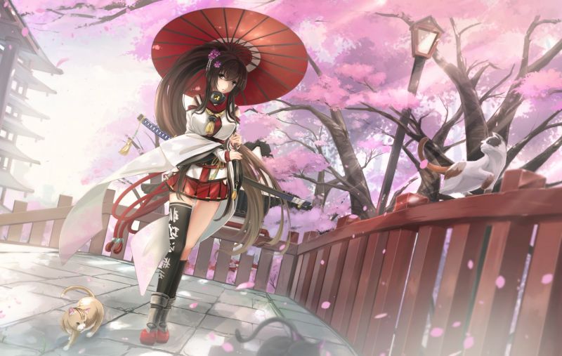 anime,Anime piger,Kantai Collection,Yamato KanColle,Person,blomst
