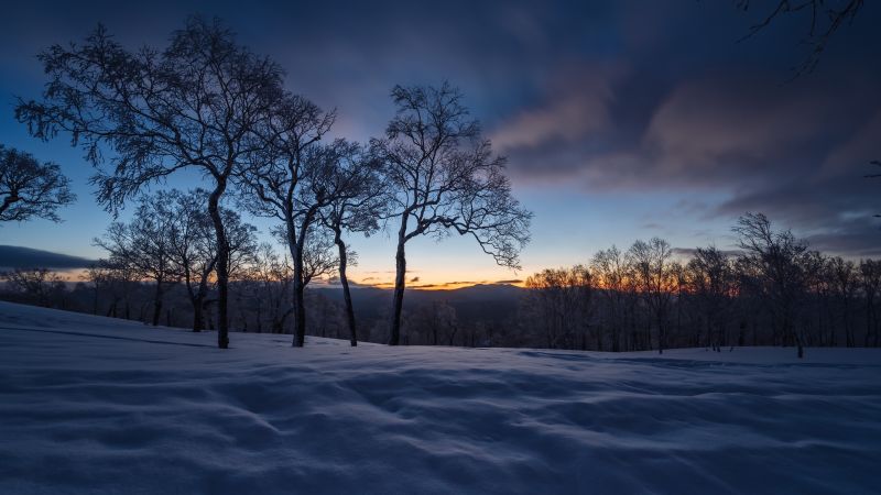 mrak, nebe, atmosféra, ekoregion, sníh, Příroda mrak, nebe, atmosféra, ekoregion, sníh, Příroda