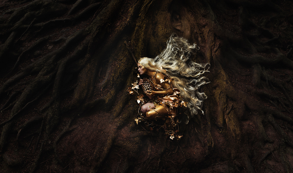 ป่า, สีบลอนด์, กลางคืน, ทอง, Nymph, ตำนาน, ฝัก, ราก, Muse, ต้นไม้, ทอง, เมล็ดพันธุ์, ความมืด, การคิด, ภาพหน้าจอ, การถ่ายภาพมาโคร, การงอก, งอก