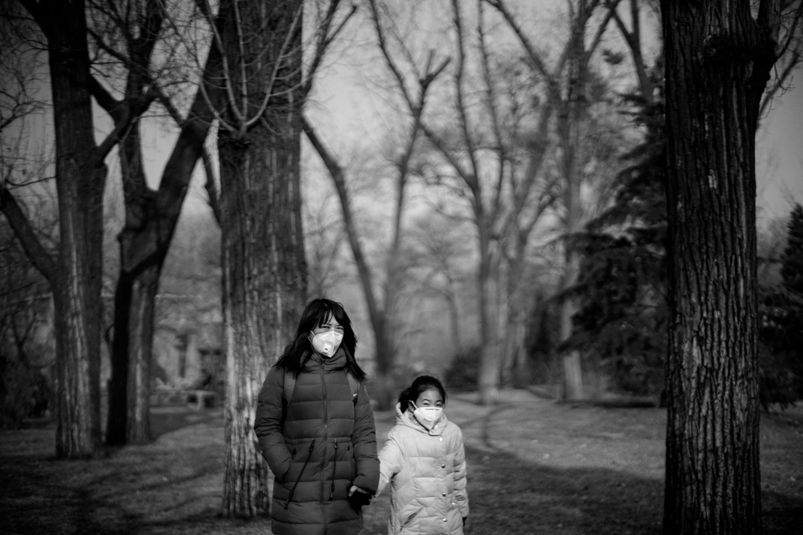 slunečnímu záření, krajina, les, lidé, bílý, Černá, černobílý, ulice, noc, Čína, Příroda, městský, nebe, zima, fotografování, větev, večer, ráno, stojící, život, Beijing, emoce, Osoba, půlnoc, střelec, výstřel, Černý a bílý, scéna, strom, podzim, dítě, Pohled, rostlina, wb, dívka, tělesné, zábava, Street View, člověk, pouliční život, třídaFoto, styl, fotografie, tma, streetphotography, lidstvo, upřímný, streetscene, streetshot, prasknutí, momentka, střílet, urbanstreet, zálesí, Černý a bílý, monochromatické fotografování, portrétní fotografie, Film noir, dřevina, jev, urbanview, živel, streetshooter, streetshoot, nocolor, Urbanpeople, Urbansence, Urbancandid, stock photography