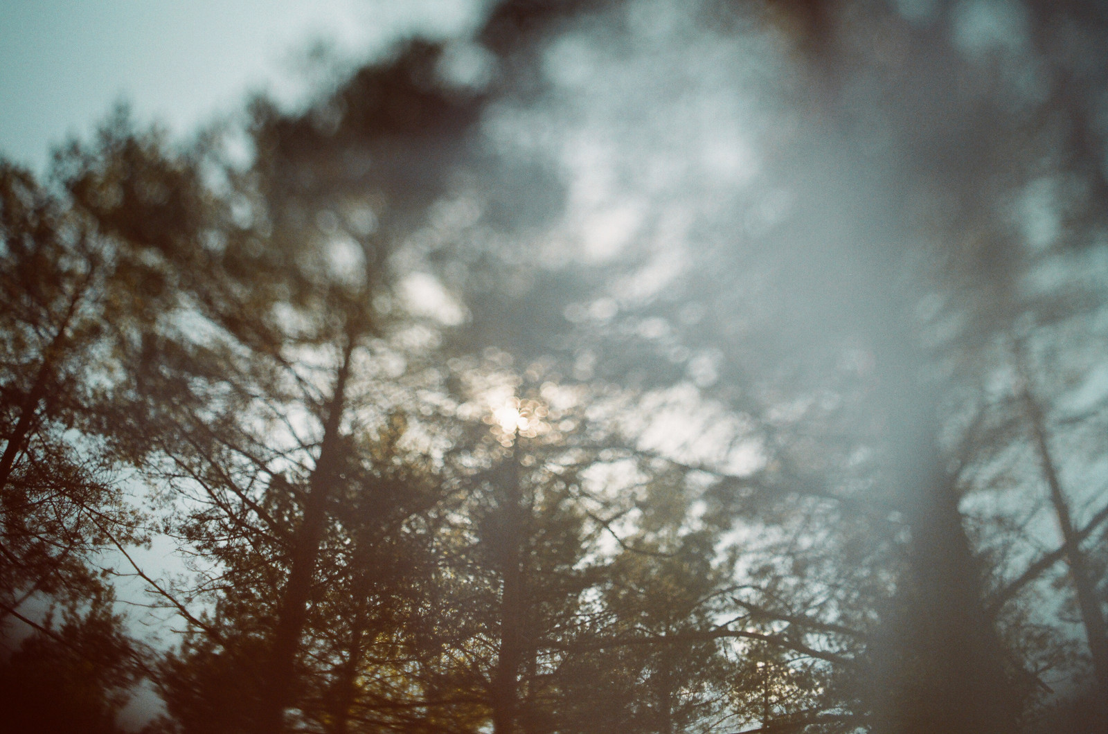 nebe, mrak, strom, dřevina, atmosféra, větev, list, slunečnímu záření, ráno, Atmosféra Země, během dne, jev, meteorologický jev, mlha, zima, les, večer, podzim, počítač tapeta, stock photography