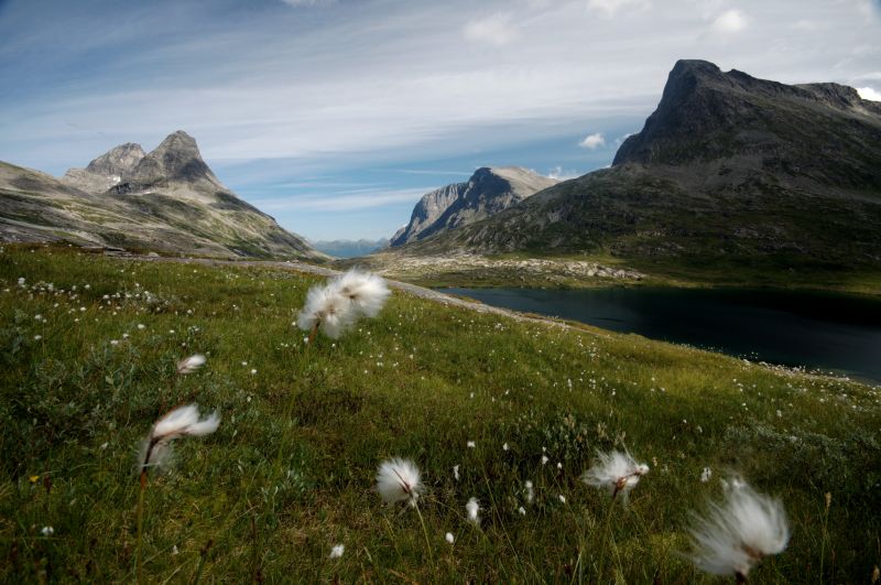 divočina, hora, horských reliéf, tundra, přírodní rezervace, klesl divočina, hora, horských reliéf, tundra, přírodní rezervace, klesl