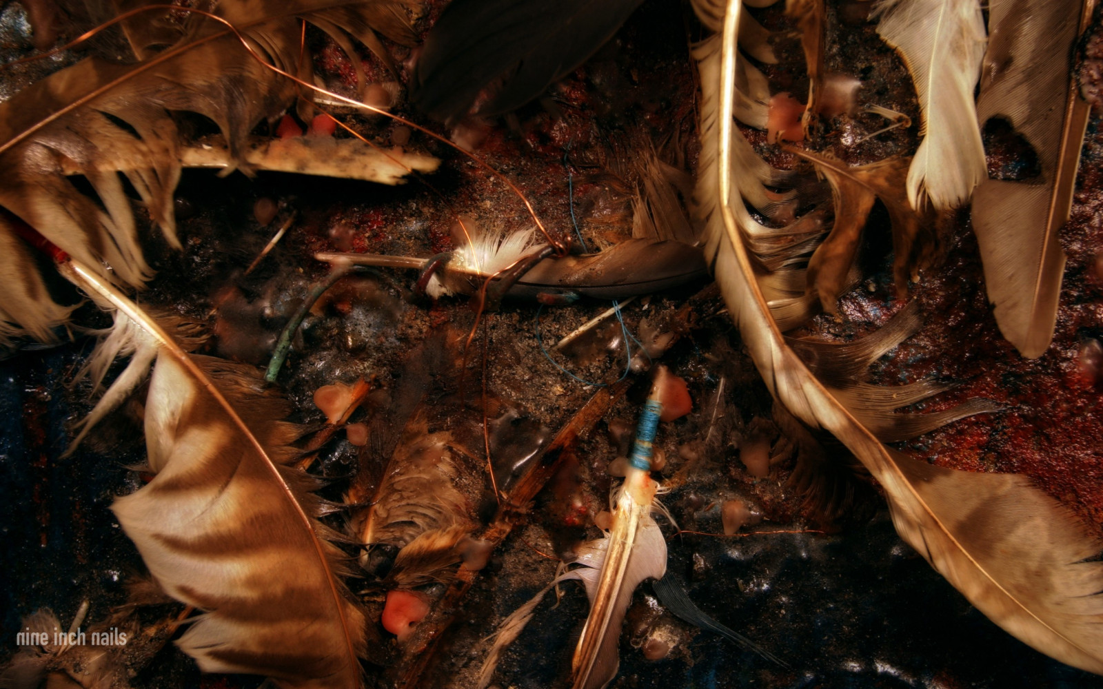 dřevo, Nine Inch Nails, Sestupnou spirálu, strom, podzim, list, květ, rostlina, dřevina, vánoční dekorace