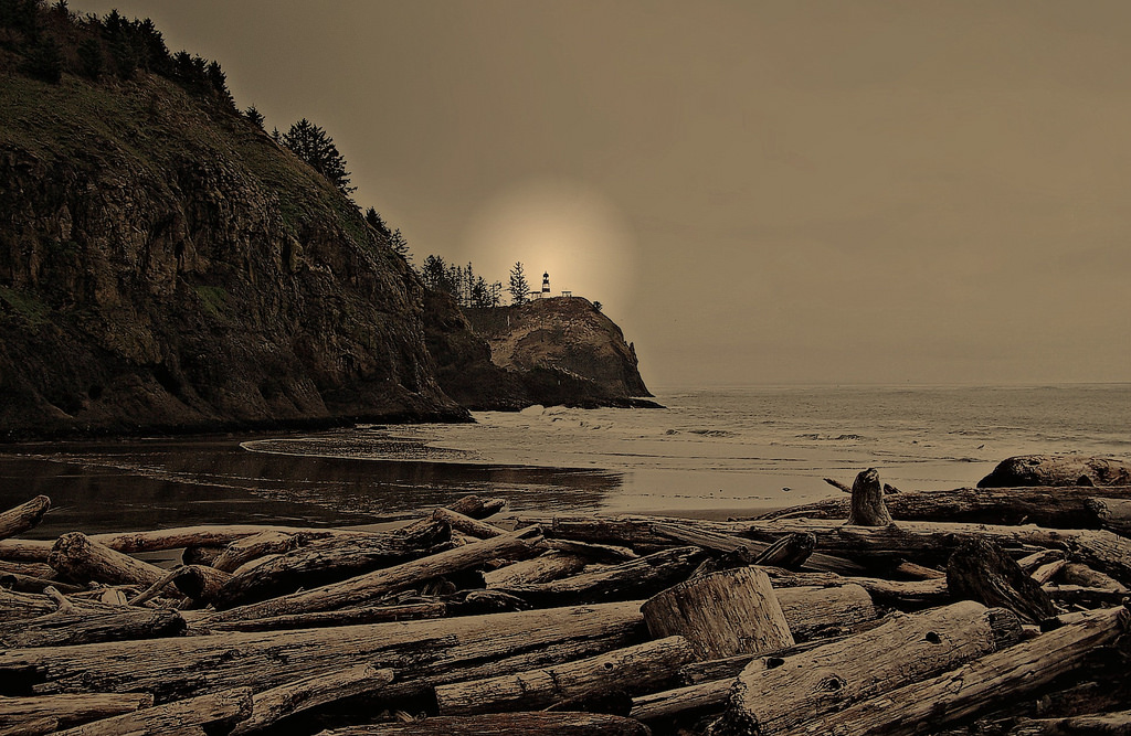 oceán, stromy, pláž, Příroda, vlny, protokoly, naplavené dříví, pobřeží, ronk, Světelné fontány