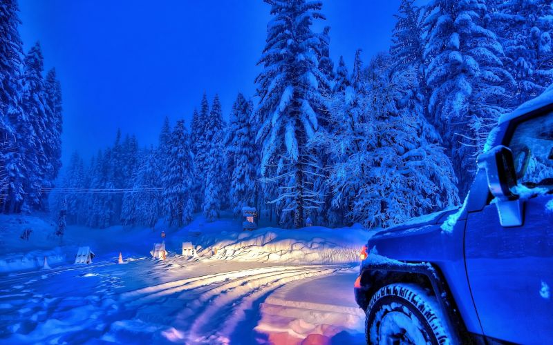 forest, car, sky, snow, winter, vehicle forest, car, sky, snow, winter, vehicle