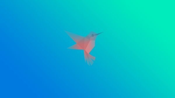 flutter,Google,programming language,minimalism,hummingbird