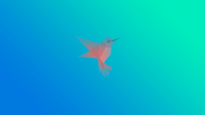 lepattaa,ohjelmointikieli,minimalismia,Google,kolibri