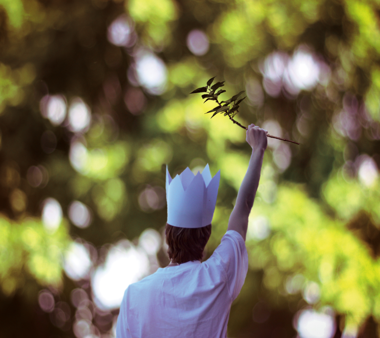 slunečnímu záření, les, listy, bílý, Příroda, větev, košile, Kánon, koruna, Kanada, stojící, papír, květ, bokeh, jaro, Montreal, MM, Soustředit se, strom, 50mm, chlapec, den, list, květ, rostlina, divoký, ruka, zábava, 365, rok, věci, projekt, podíl, 50, lepit, vydržet, daniel, kde, terrio, badbodydoubletrouble, prohlásit, Deklarování, Letthewildrumpusstart