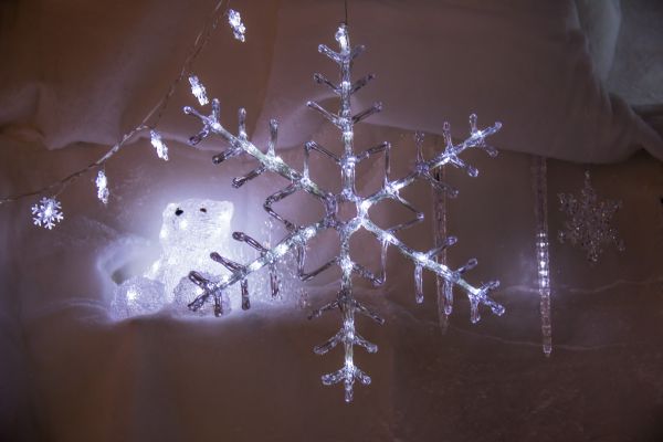 branch, ice, Christmas, decorations, snow, Freezing